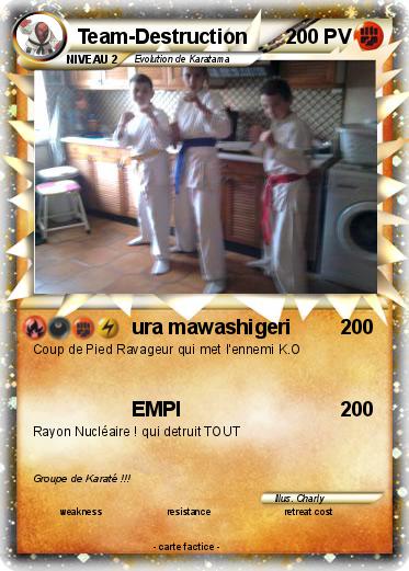 Pokemon Team-Destruction