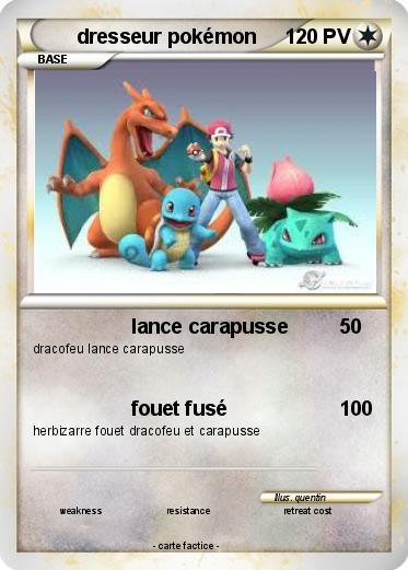 Pokemon dresseur pokémon