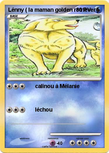 Pokemon Lénny ( la maman golden retriever )