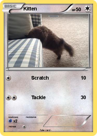 Pokemon Kitten