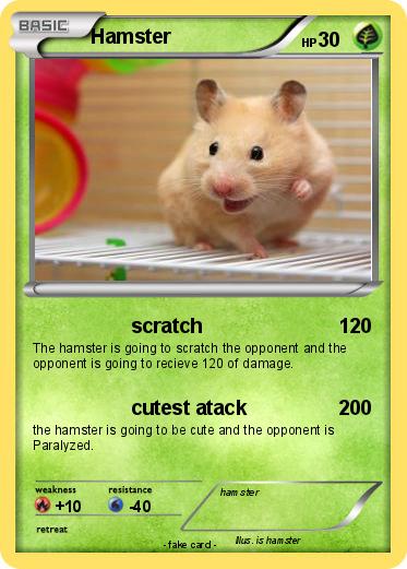 Pokemon Hamster