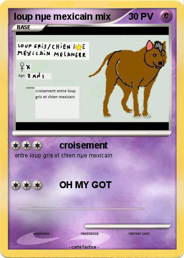 Pokemon loup nµe mexicain mix