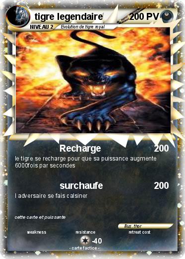 Pokemon tigre legendaire