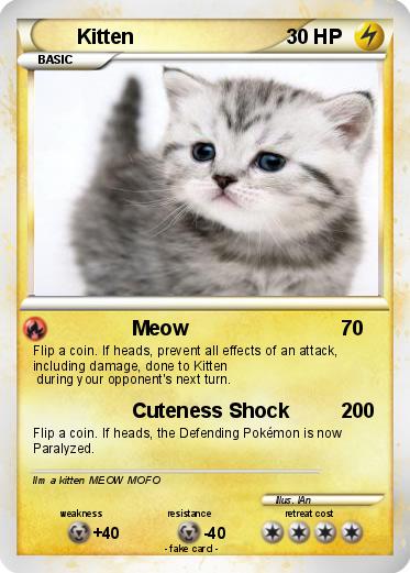 Pokemon Kitten