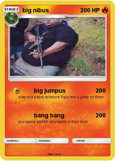 Pokemon big nibus