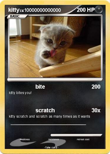 Pokemon kitty