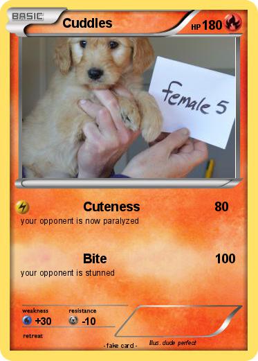 Pokemon Cuddles