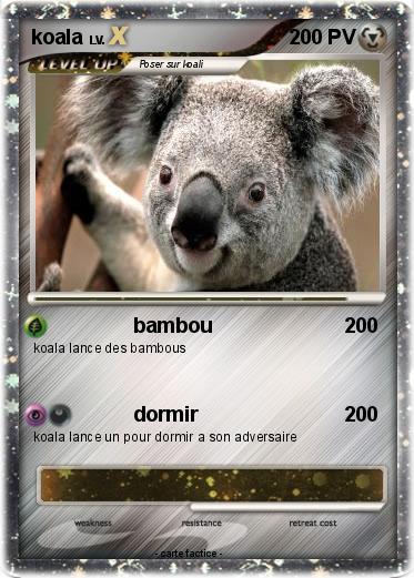 Pokemon koala