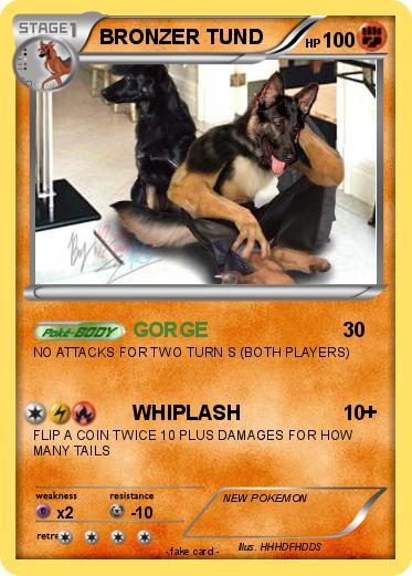 Pokemon BRONZER TUND