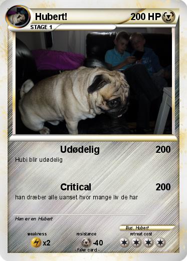 Pokemon Hubert!