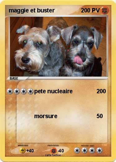 Pokemon maggie et buster