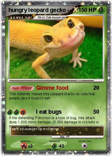 Pokemon hungry leopard gecko