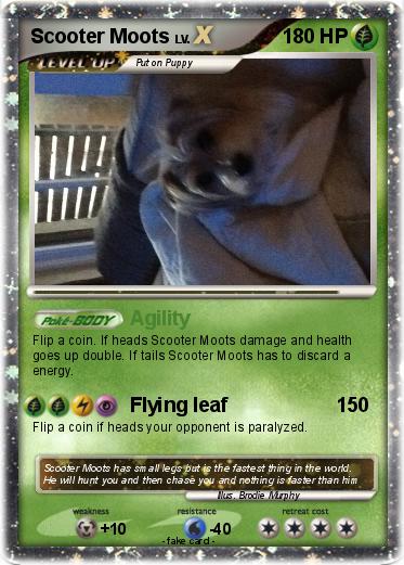 Pokemon Scooter Moots