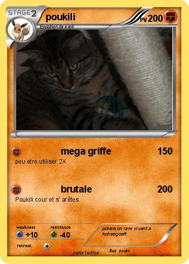 Pokemon poukili
