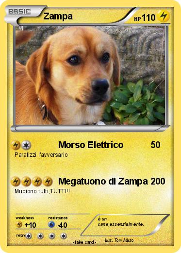Pokemon Zampa