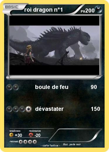 Pokemon roi dragon n°1