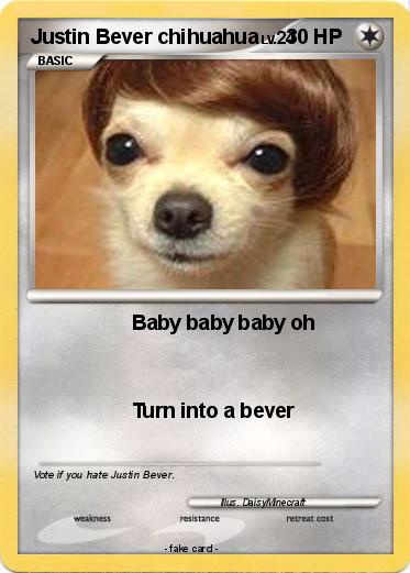 Pokemon Justin Bever chihuahua