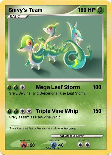 Pokemon Snivy's Team