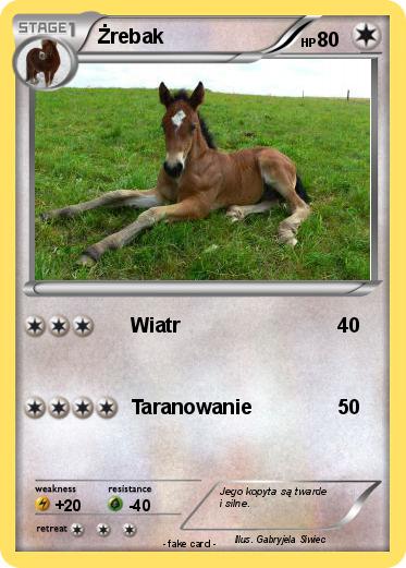 Pokemon Żrebak