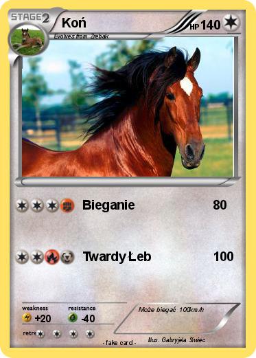 Pokemon Koń
