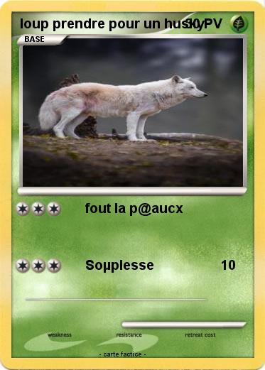 Pokemon loup prendre pour un husky