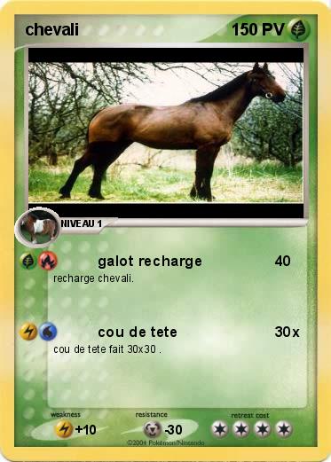 Pokemon chevali