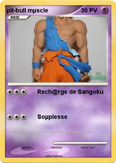 Pokemon pit-bull mµscle