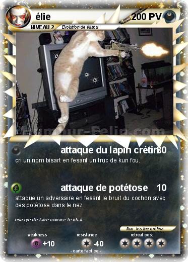 Pokemon élie