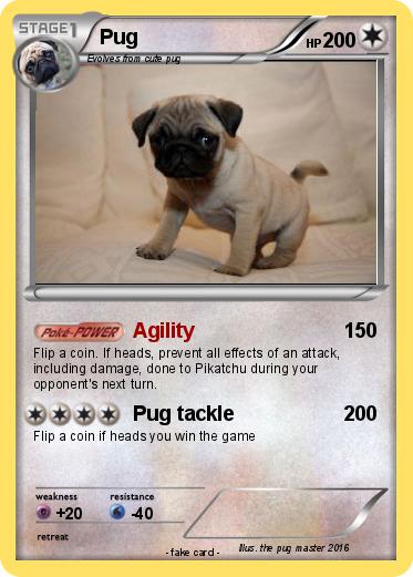 Pokemon Pug