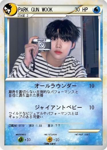 Pokemon PARK GUN WOOK