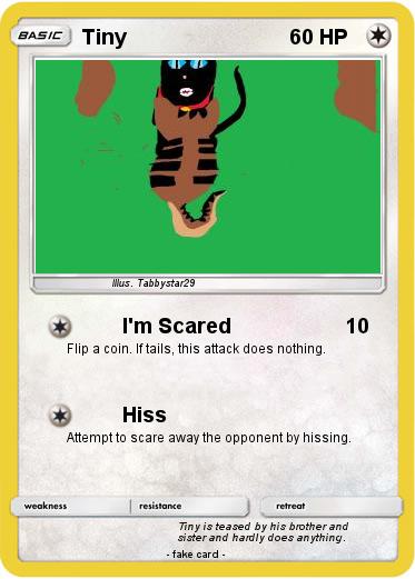 Pokemon Tiny