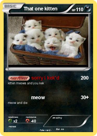Pokemon That one kitten