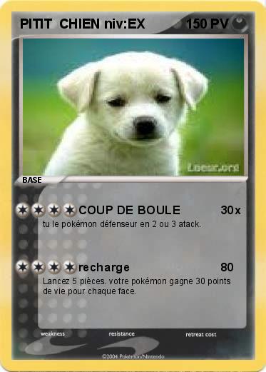 Pokemon PITIT  CHIEN niv:EX
