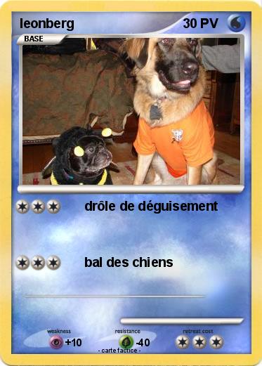 Pokemon leonberg