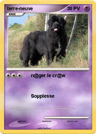 Pokemon terre-neuve
