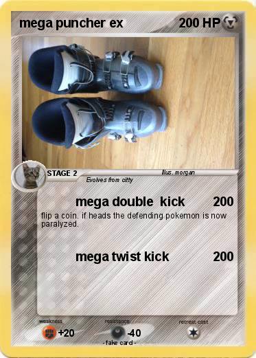 Pokemon mega puncher ex