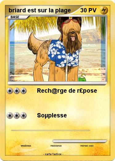 Pokemon briard est sur la plage