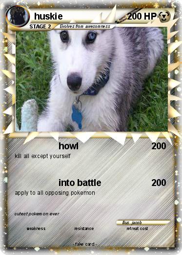Pokemon huskie