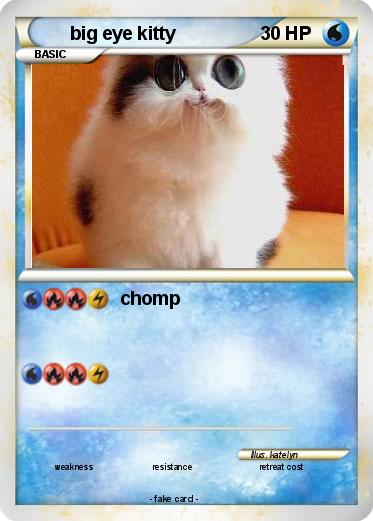 Pokemon big eye kitty