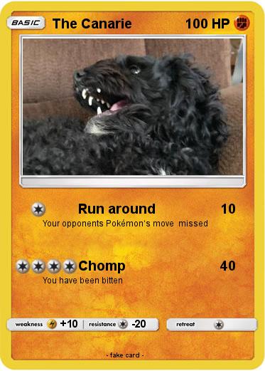 Pokemon The Canarie
