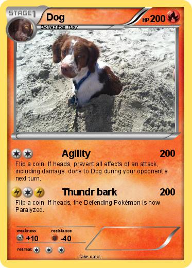 Pokemon Dog