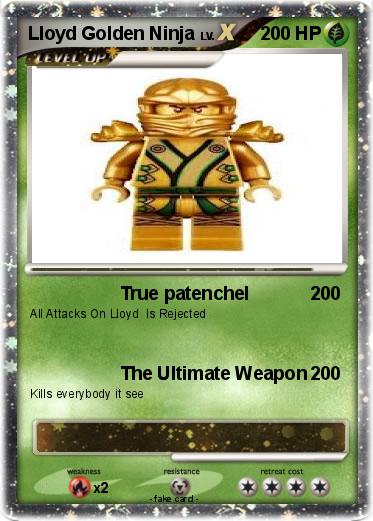 Pokemon Lloyd Golden Ninja