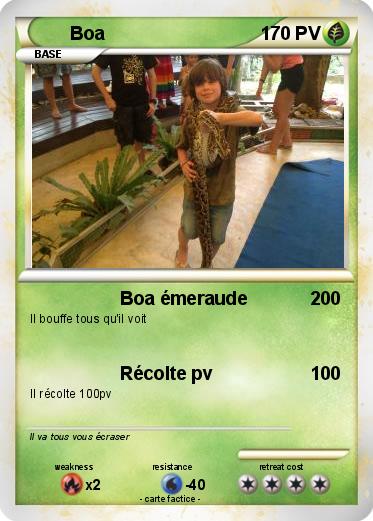 Pokemon Boa