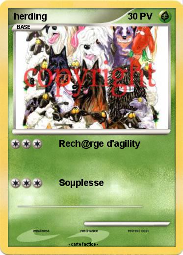 Pokemon herding