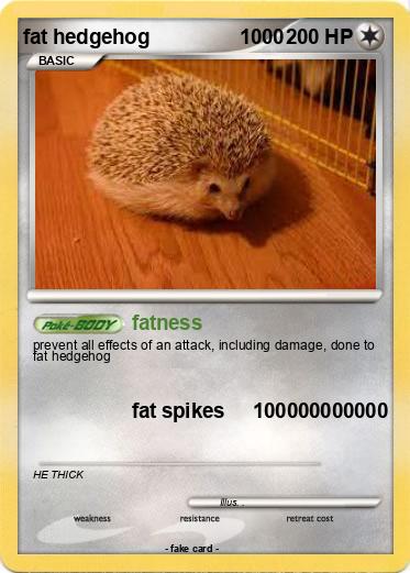 Pokemon fat hedgehog                1000