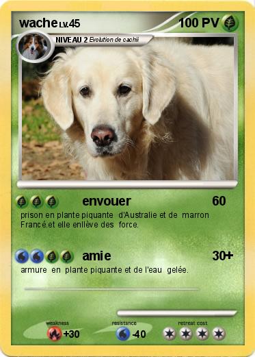 Pokemon wache