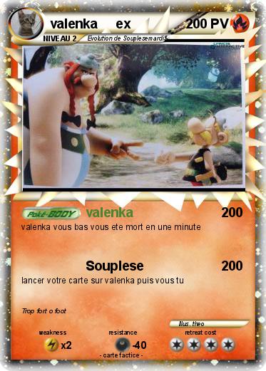 Pokemon valenka     ex