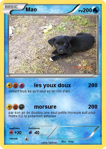Pokemon Mao