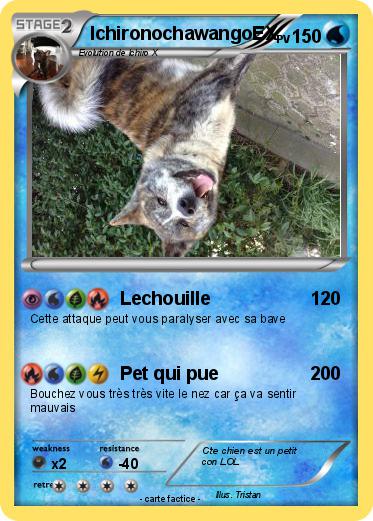 Pokemon IchironochawangoEX