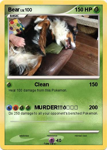 Pokemon Bear